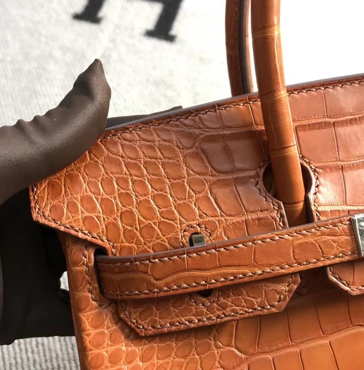 Stock Hermes Matt Crocodile Leather Birkin25CM Women&#8217;s Bag in Khaki Silver Hardware