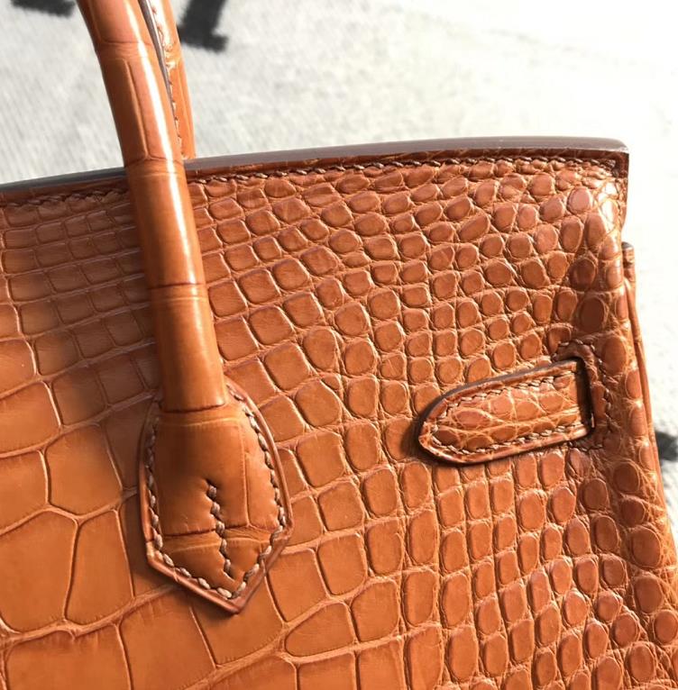 Stock Hermes Matt Crocodile Leather Birkin25CM Women’s Bag in Khaki Silver Hardware