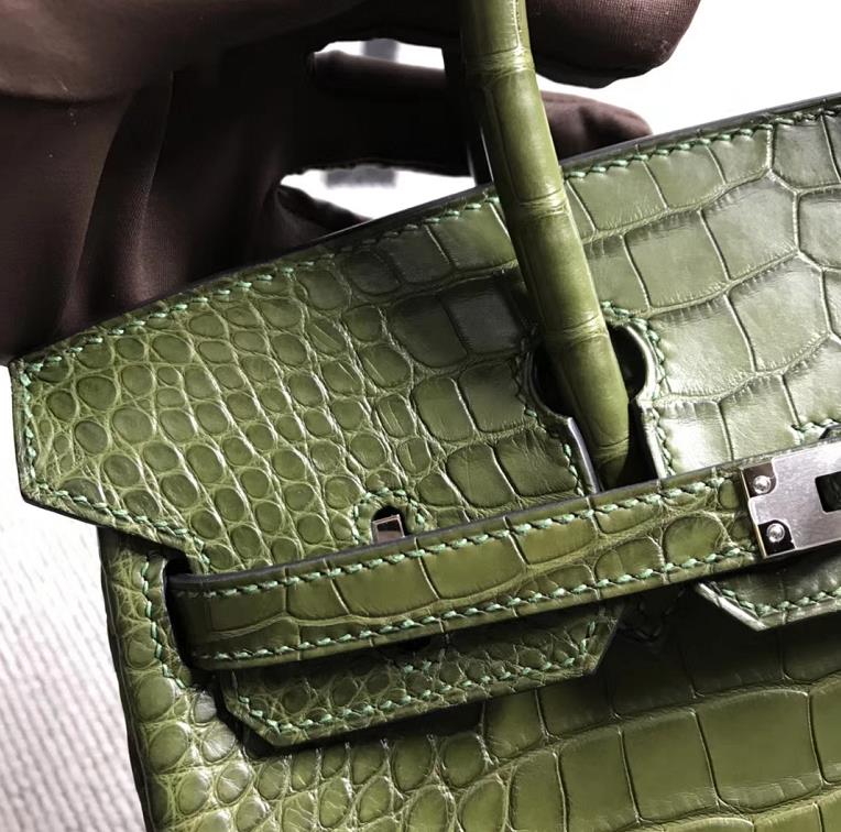 Stock Hermes Vert Canopee Matt Crocodile Birkin Bag25CM Silver Hardware