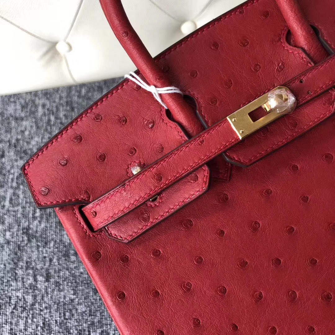 Stock Wholesale Hermes Q5 Rouge Casaque Ostrich Leather Birkin25CM Bag
