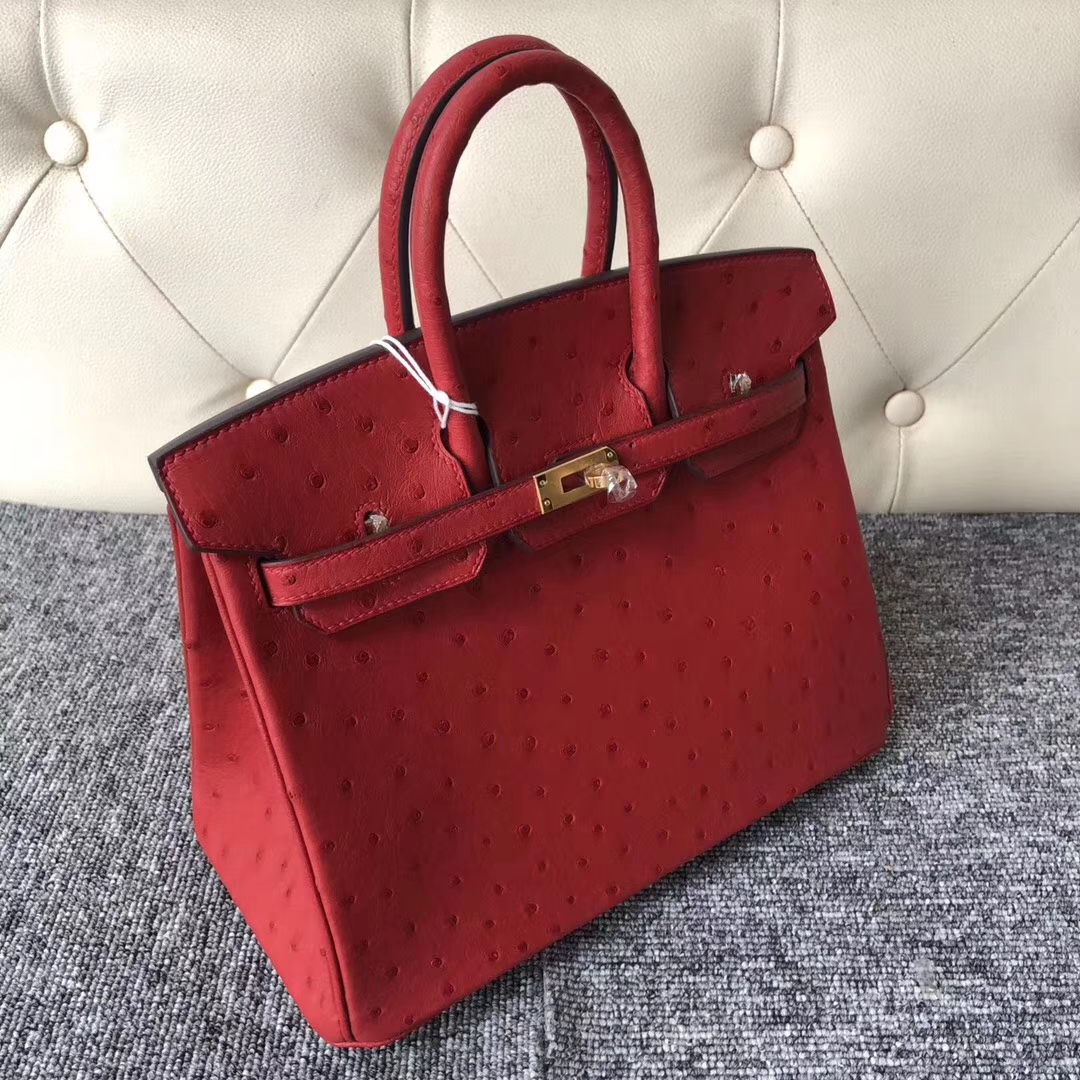 Stock Wholesale Hermes Q5 Rouge Casaque Ostrich Leather Birkin25CM Bag