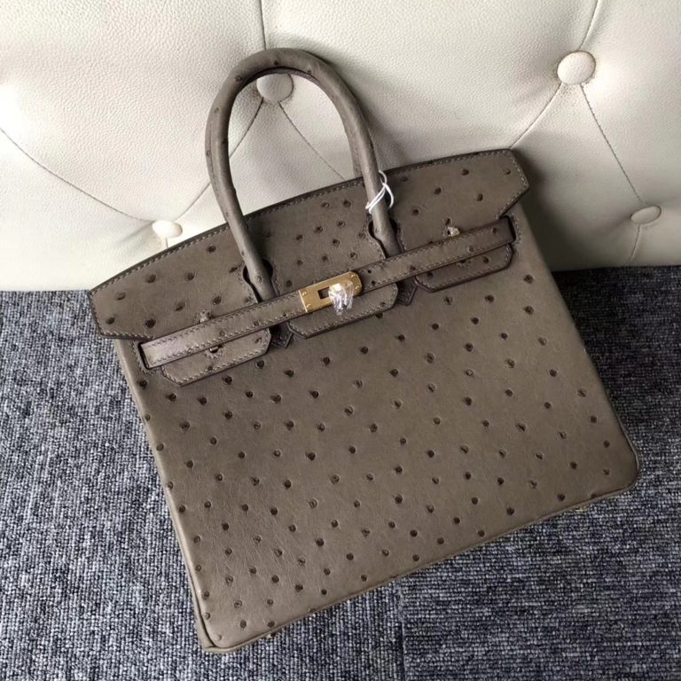 Hermes Ostrich Leather Birkin Bag 25cm in CK 18 Gris Etoupe Gold Hardware