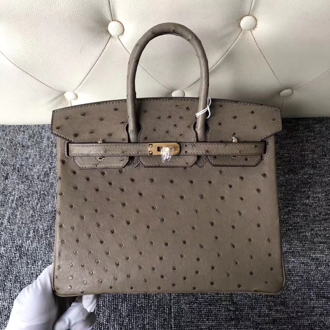 Stock Hermes Ostrich Leather Birkin Bag25cm in CK18 Gris Etoupe Gold Hardware