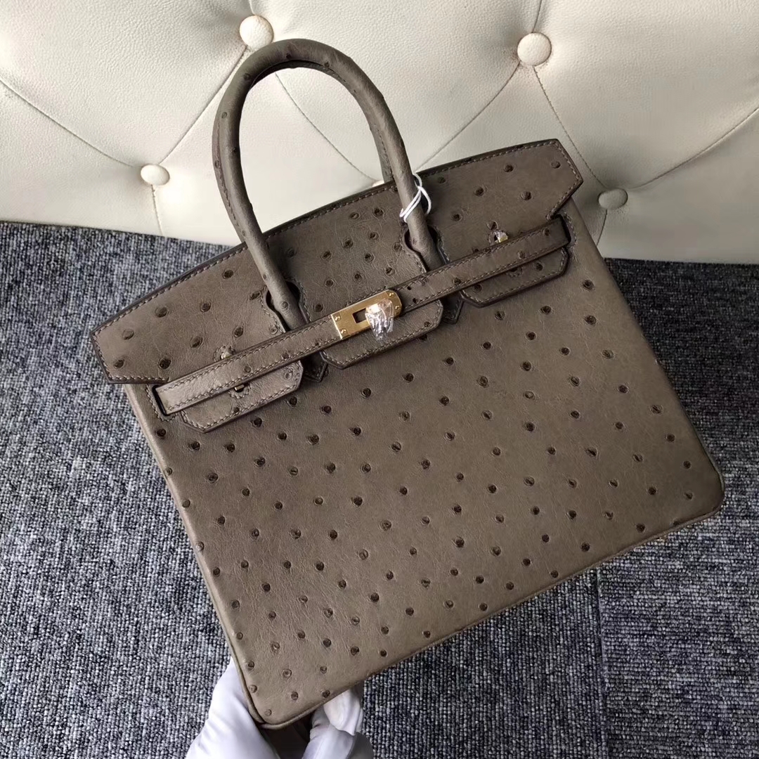 Stock Hermes Ostrich Leather Birkin Bag25cm in CK18 Gris Etoupe Gold Hardware