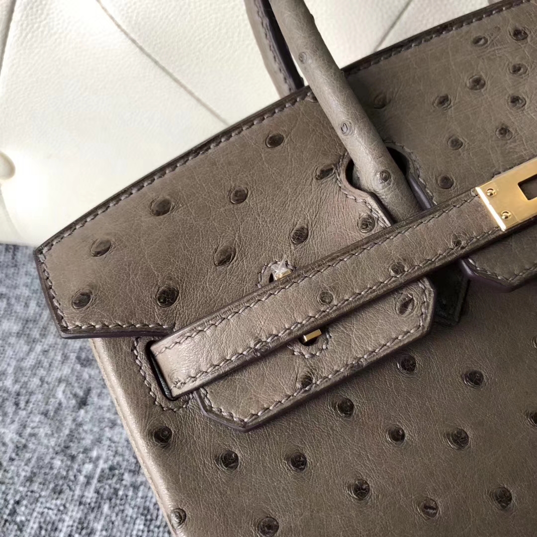 Stock Hermes Ostrich Leather Birkin Bag25cm in CK18 Gris Etoupe Gold Hardware