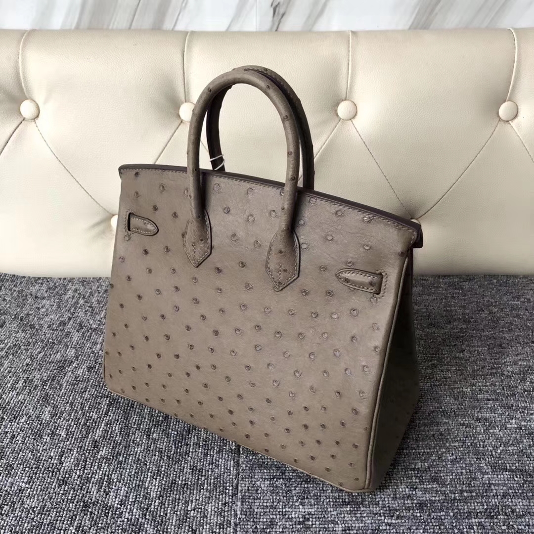 Stock Hermes Ostrich Leather Birkin Bag25cm in CK18 Gris Etoupe Gold Hardware