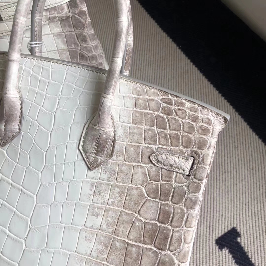Noble Hermes Himalaya Crocodile Leather Birkin25CM Tote Bag Silver Hardware
