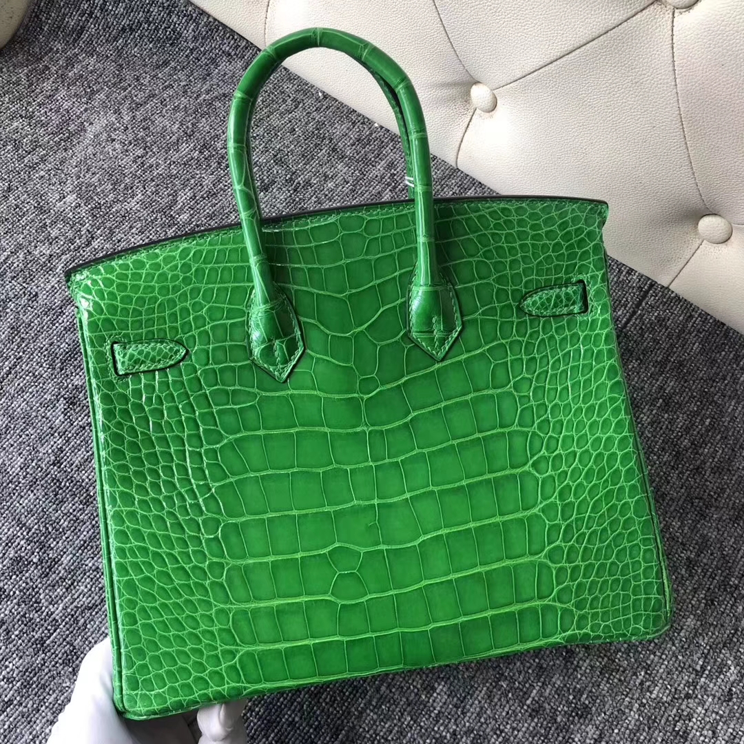 Noble Hermes 1L Vert Cacti Shiny Crocodile Birkin Bag25CM Silver Hardware