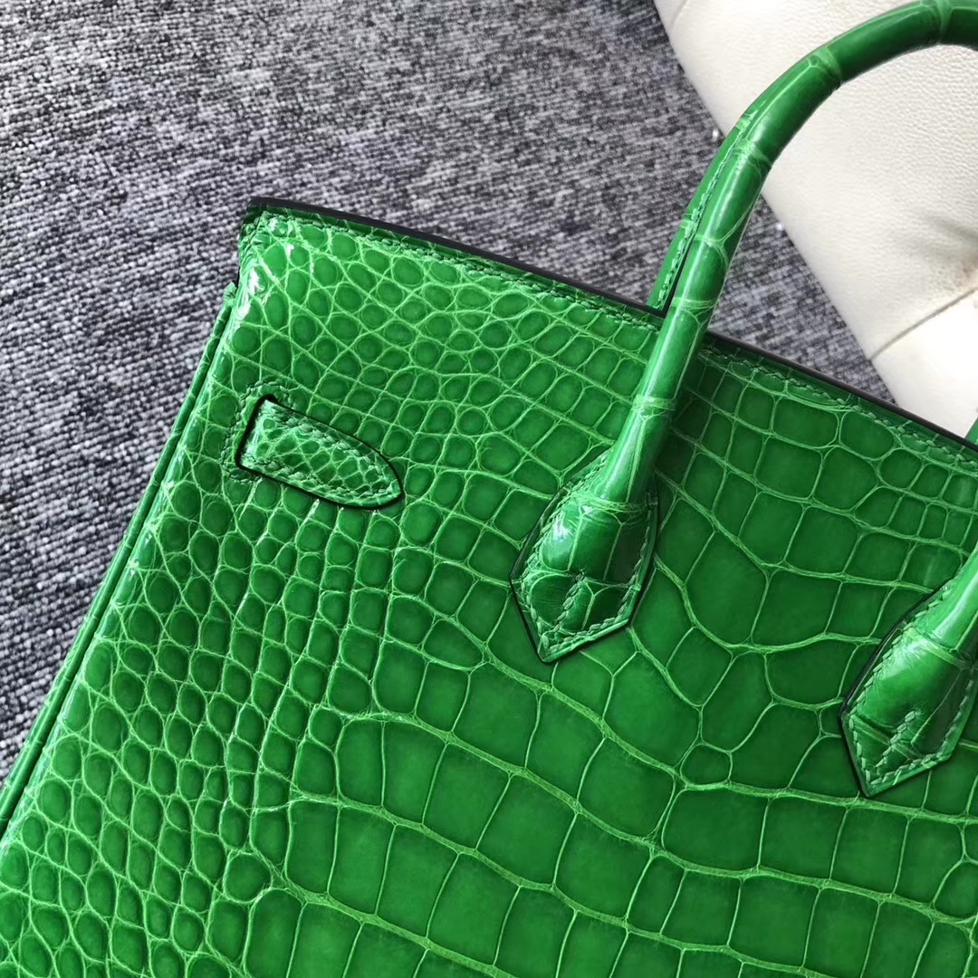 Noble Hermes 1L Vert Cacti Shiny Crocodile Birkin Bag25CM Silver Hardware