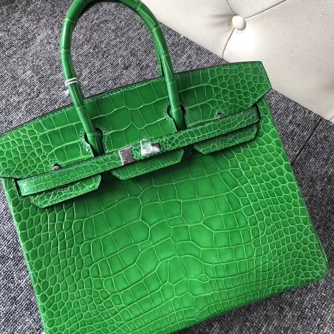 Noble Hermes 1L Vert Cacti Shiny Crocodile Birkin Bag25CM Silver Hardware