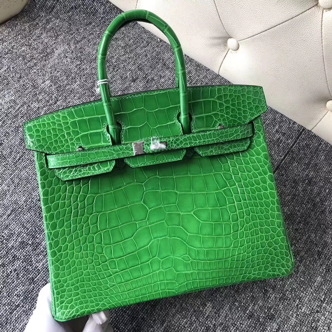 Noble Hermes 1L Vert Cacti Shiny Crocodile Birkin Bag25CM Silver Hardware
