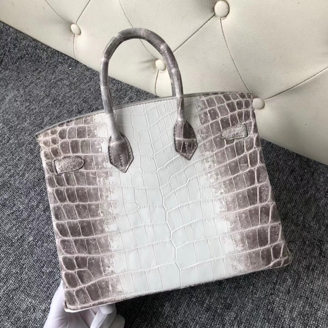 Stock Hermes Himalaya Crocodile Leather Birkin25cm Bag Silver Hardware