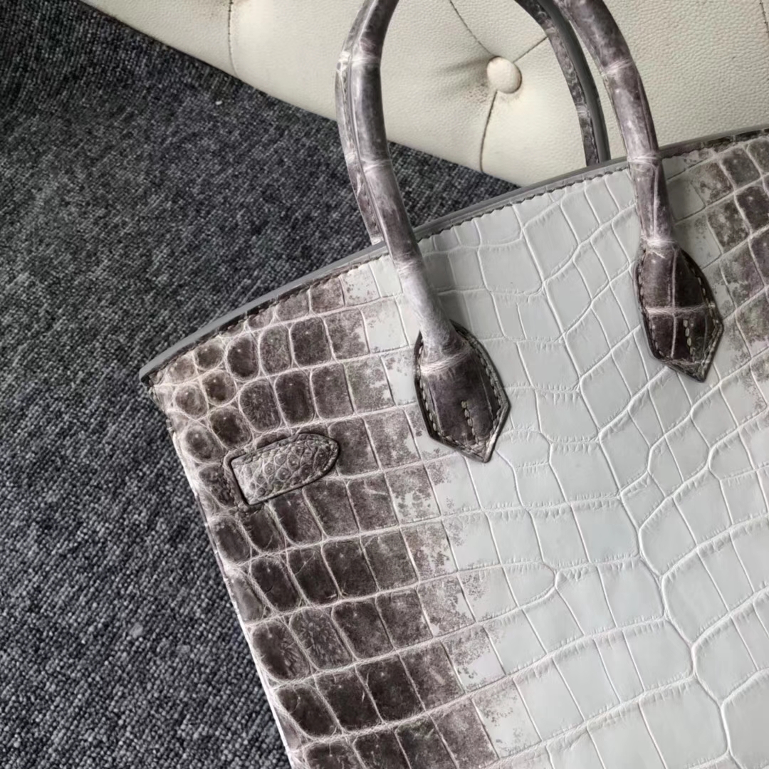 Stock Hermes Himalaya Crocodile Leather Birkin25cm Bag Silver Hardware