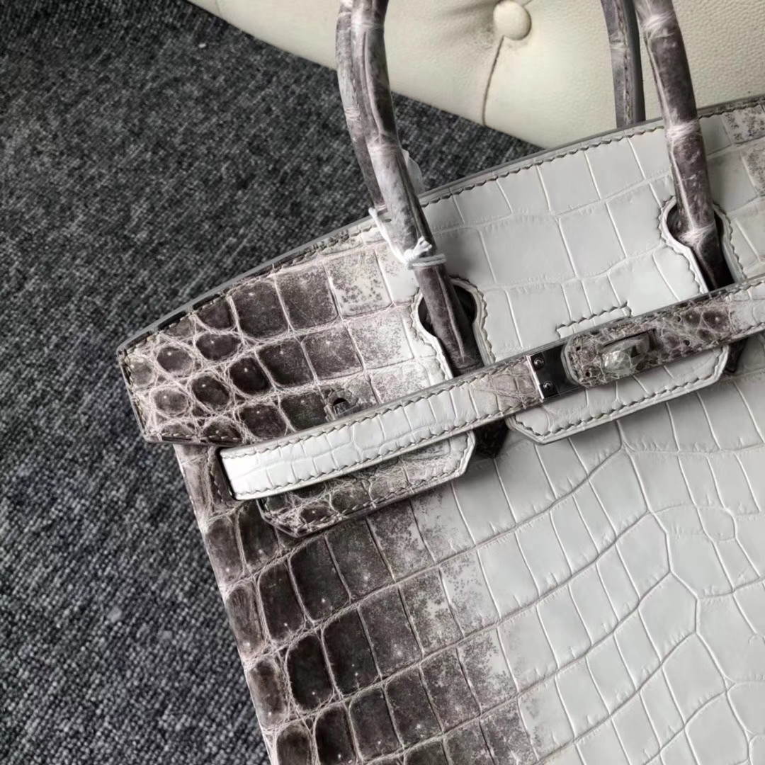 Stock Hermes Himalaya Crocodile Leather Birkin25cm Bag Silver Hardware