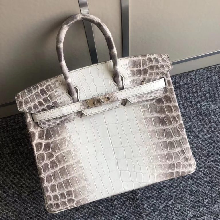 Hermes Himalaya Crocodile Leather Birkin 25cm Womens Bag Silver Hardware