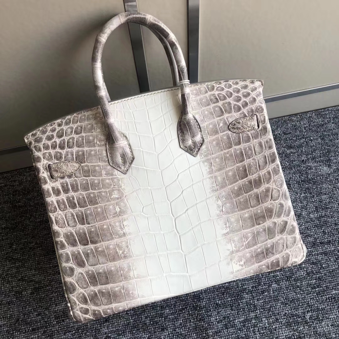 Elegant Hermes Himalaya Crocodile Leather Birkin25cm Women&#8217;s Bag Silver Hardware