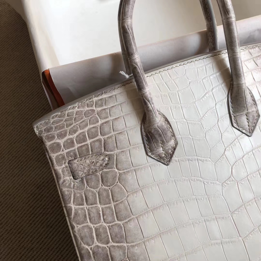 Elegant Hermes Himalaya Crocodile Leather Birkin Bag25cm Silver Hardware