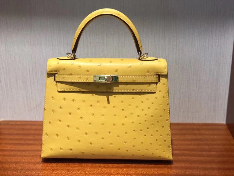 Ostrich Leather Kelly Bag 25CM in 9D Ambre Yellow Gold Hardware