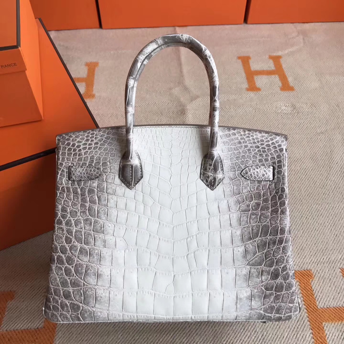 Noble Hermes Himalaya Crocodile Leather Birkin30cm Bag Silver Hardware