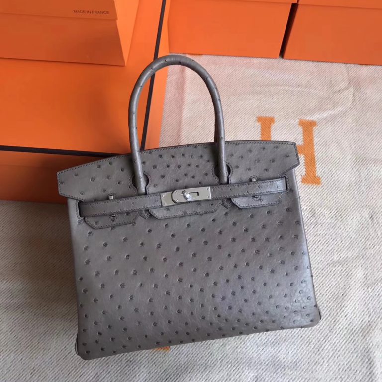 Hermes Ostrich Leather Birkin 30cm Handbag in Mousse Grey Silver Hardware