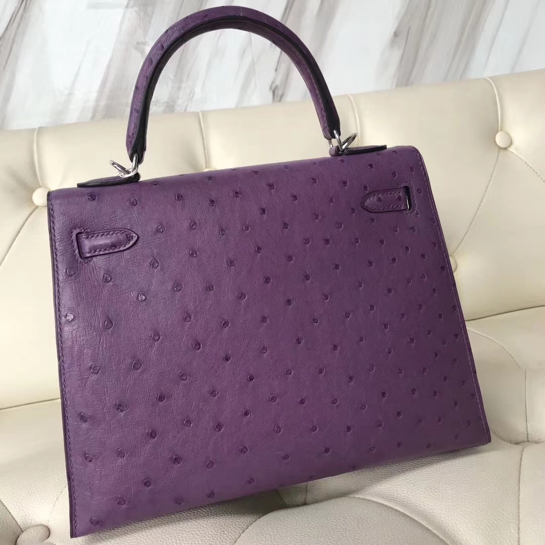 Wholesale Hermes P9 Anemone Purple Ostrich Leather Sellier Kelly25CM Bag Silver Hardware