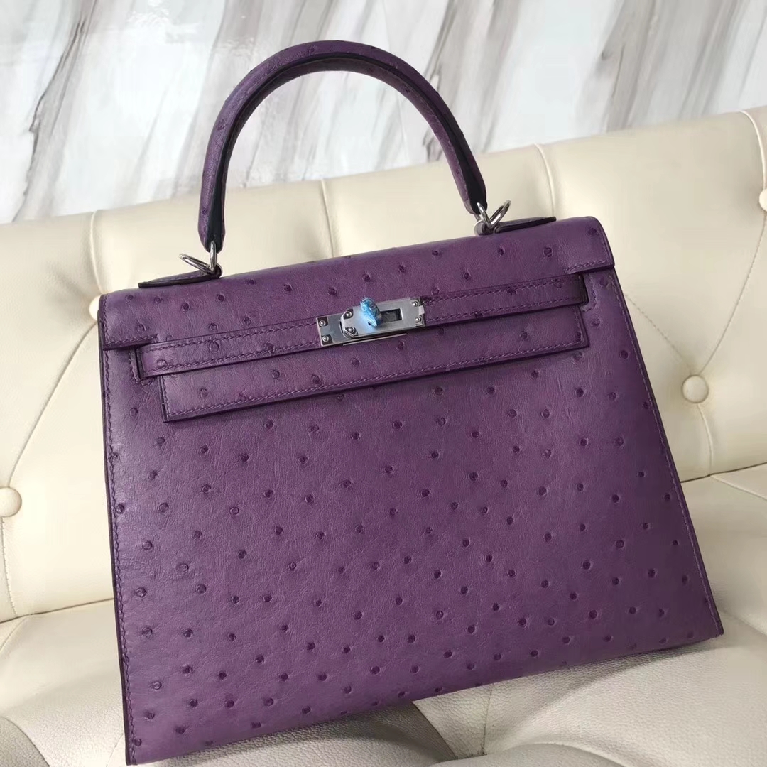 Wholesale Hermes P9 Anemone Purple Ostrich Leather Sellier Kelly25CM Bag Silver Hardware