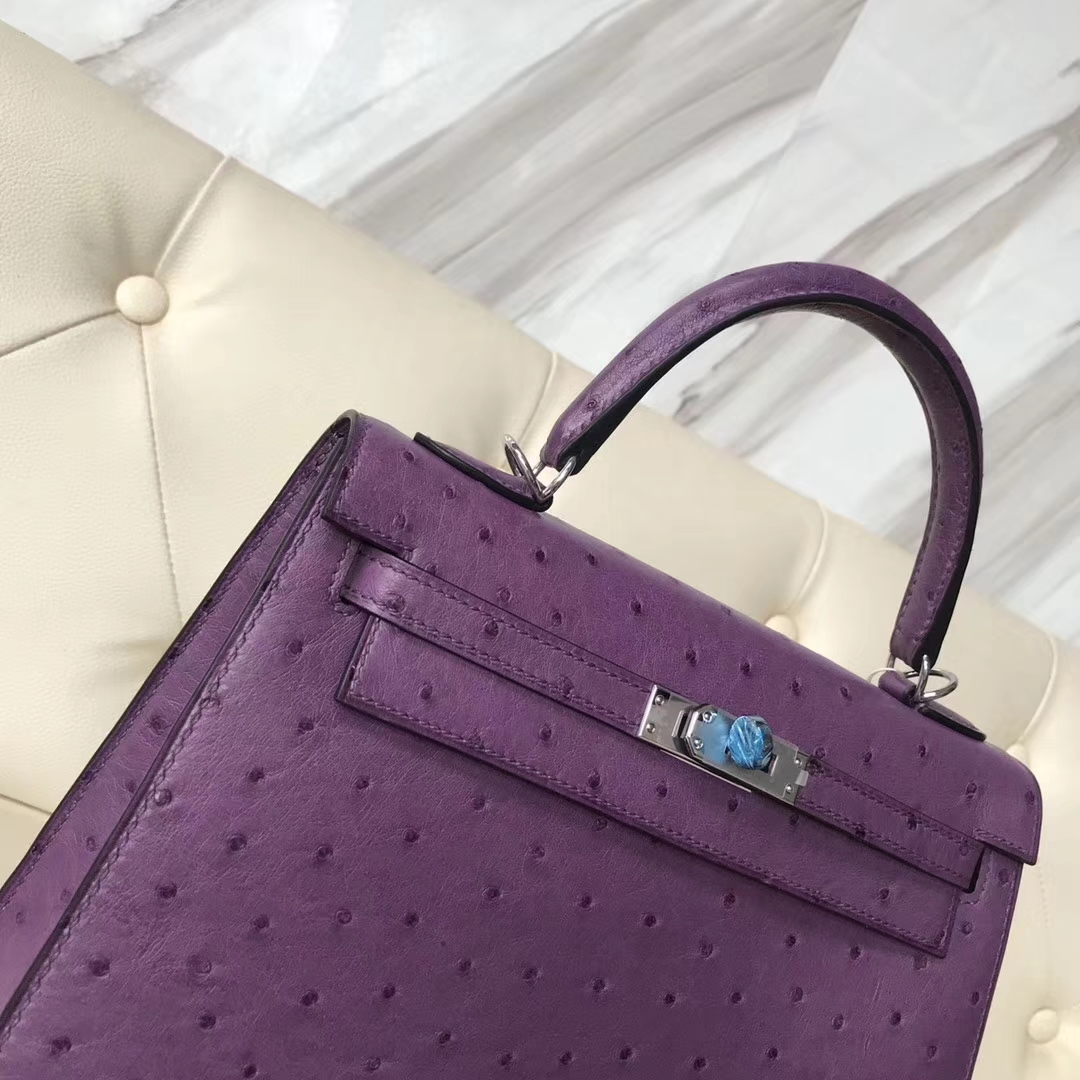 Wholesale Hermes P9 Anemone Purple Ostrich Leather Sellier Kelly25CM Bag Silver Hardware