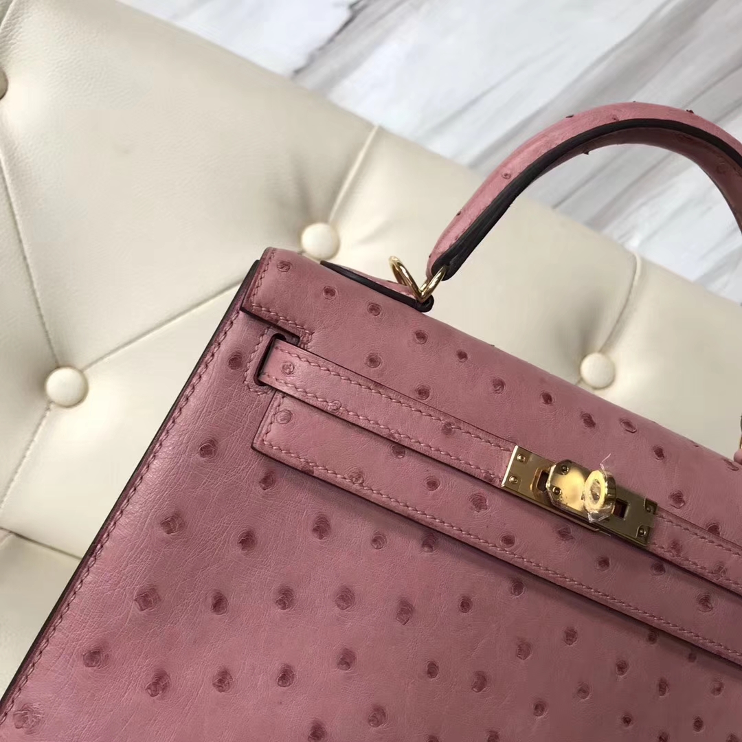Wholesale Hermes Ostrich Leather Kelly25CM Bag in CK94 Terre Cuite Gold Hardware