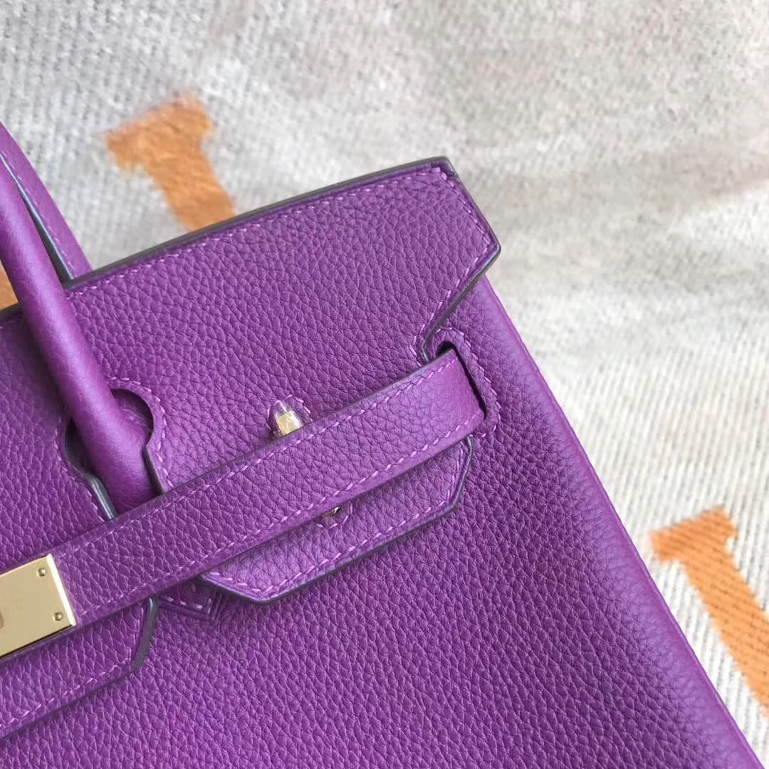 Luxury Hermes Togo Calfskin Birkin Bag30cm in P9 Amenone Gold Hardware