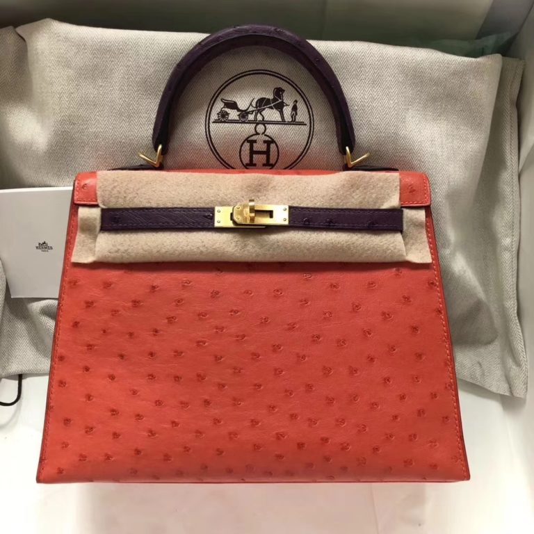 Hermes A5 Bougainvillier Red/9W Crocus Purple Ostrich Leather Kelly 25CM Bag