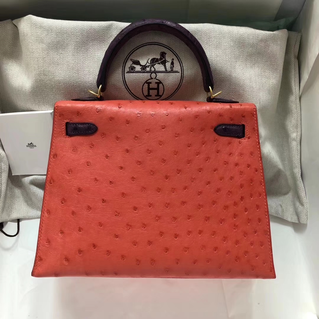 Pretty Hermes A5 Bougainvillier Red/9W Crocus Purple Ostrich Leather Kelly25CM Bag