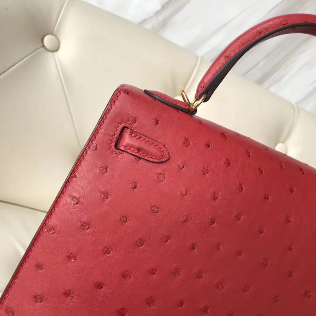 Pretty Hermes Q5 Rouge Casaque Ostrich Leather Kelly25CM Tote Bag Gold Hardware