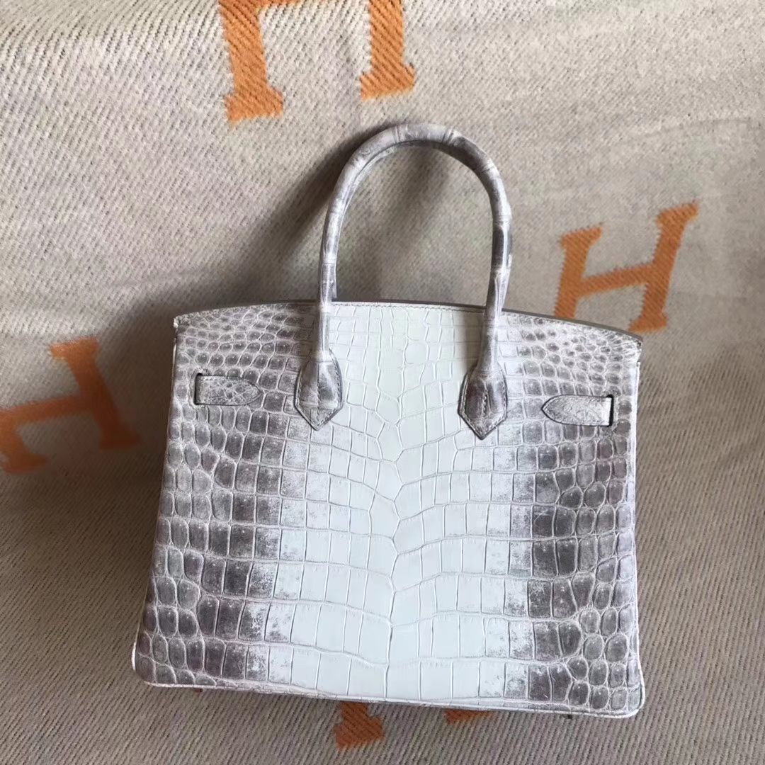 Wholesale Hermes Birkin Bag30CM Himalaya Crocodile Leather Silver Hardware