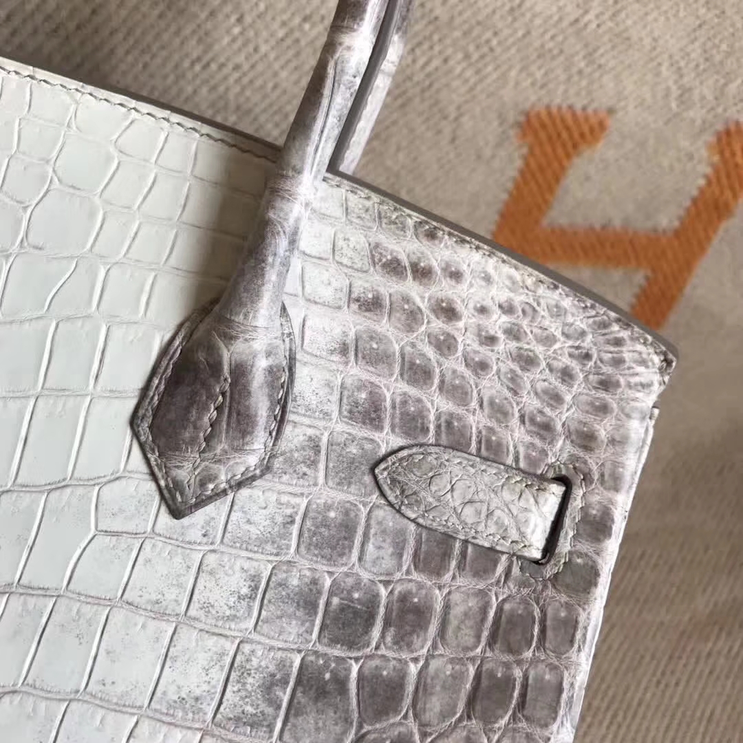 Wholesale Hermes Birkin Bag30CM Himalaya Crocodile Leather Silver Hardware