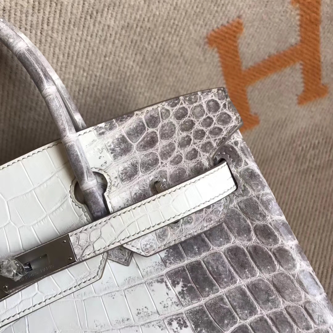 Discount Hermes Himalaya Crocodile Leather Birkin30CM Bag Silver Hardware