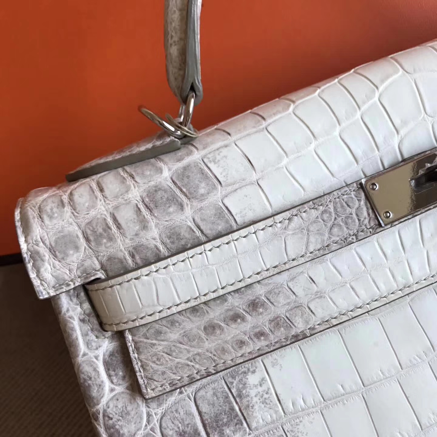Luxury Hermes Himalaya Color Crocodile Leather Kelly32cm Bag