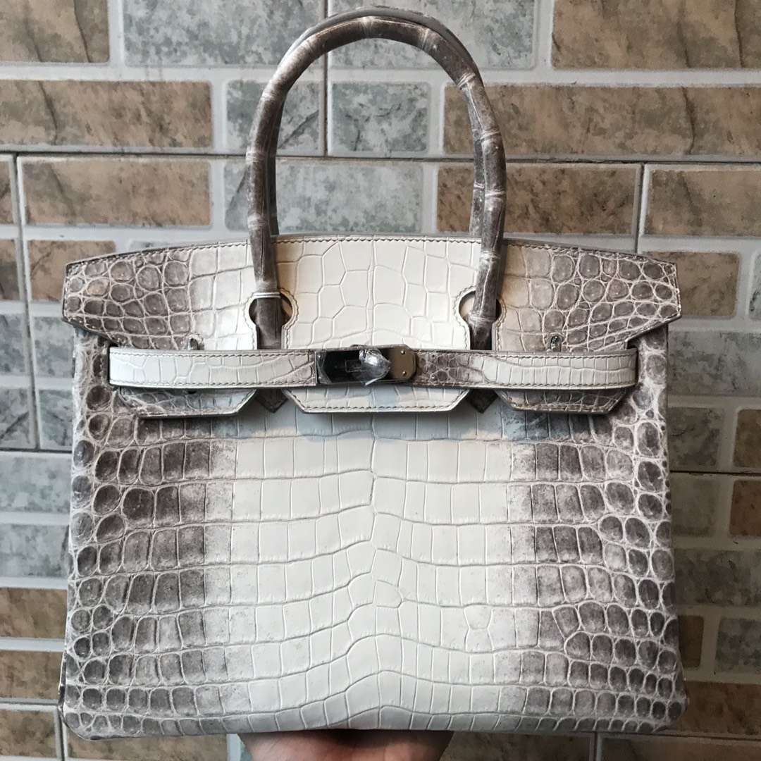 Discount Hermes Himalaya Crocodile Leather Birkin30CM Tote Bag Silver Hardware