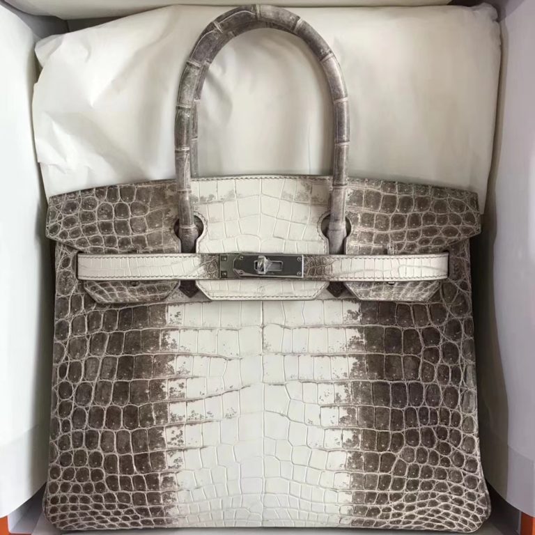 Hermes Himalaya Crocodile Leather Birkin 30CM Tote Bag