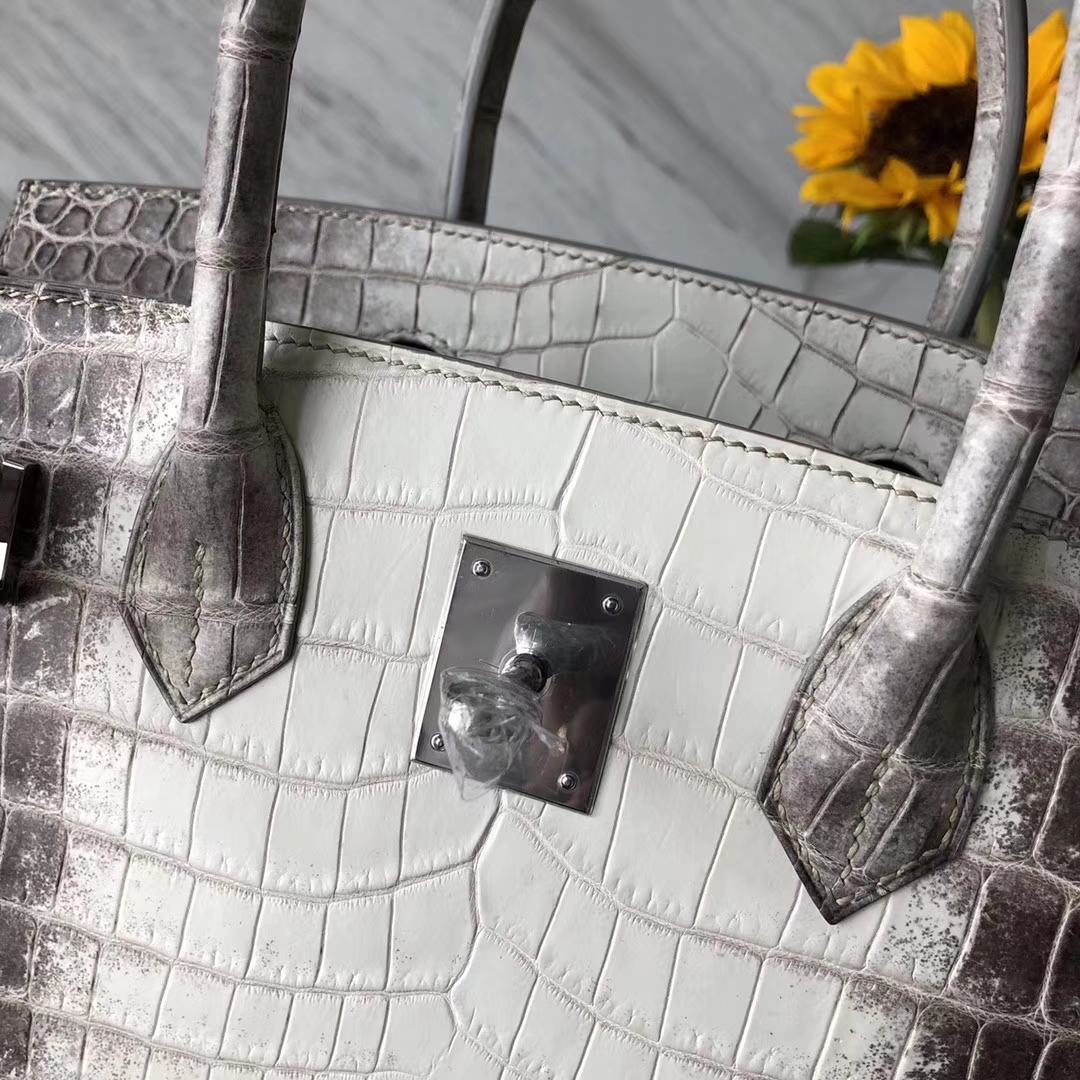 Noble Hermes Himalaya Crocodile Leather Birkin Bag30cm Silver Hardware