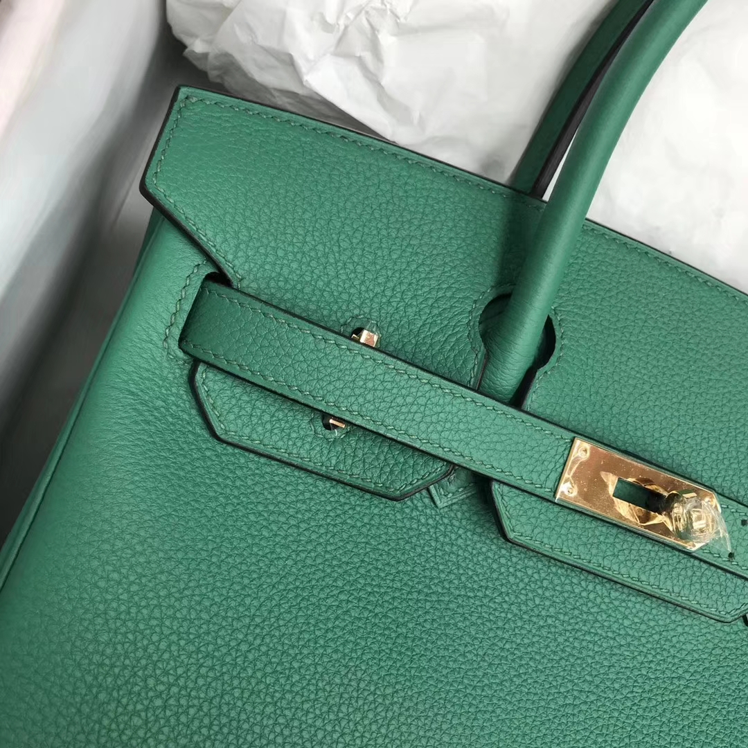 New Arrival Hermes U4 Vert Verigo Togo Calf Birkin30CM Bag Gold Hardware
