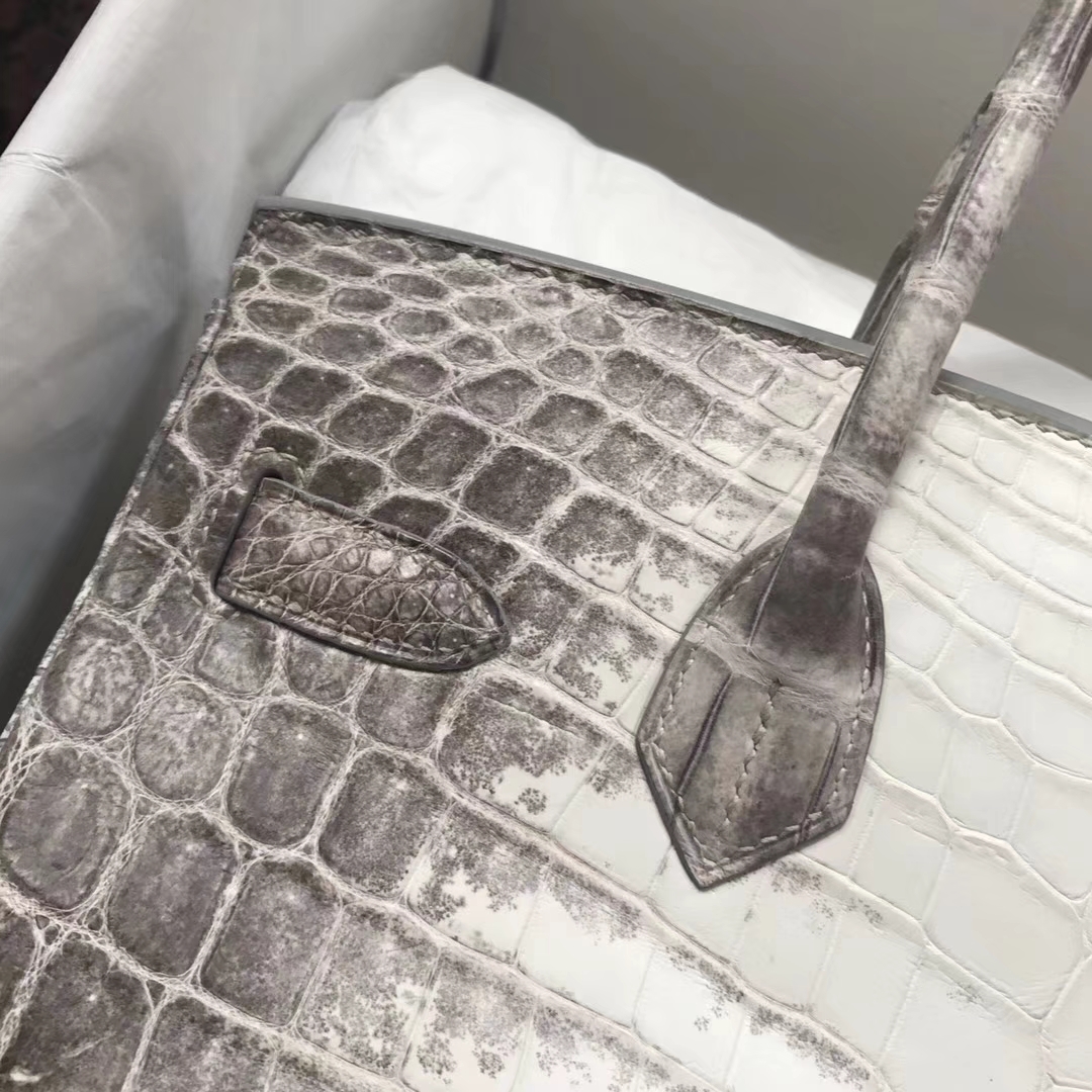Noble Hermes Himalaya Crocodile Leather Birkin30CM Tote Bag Silver Hardware