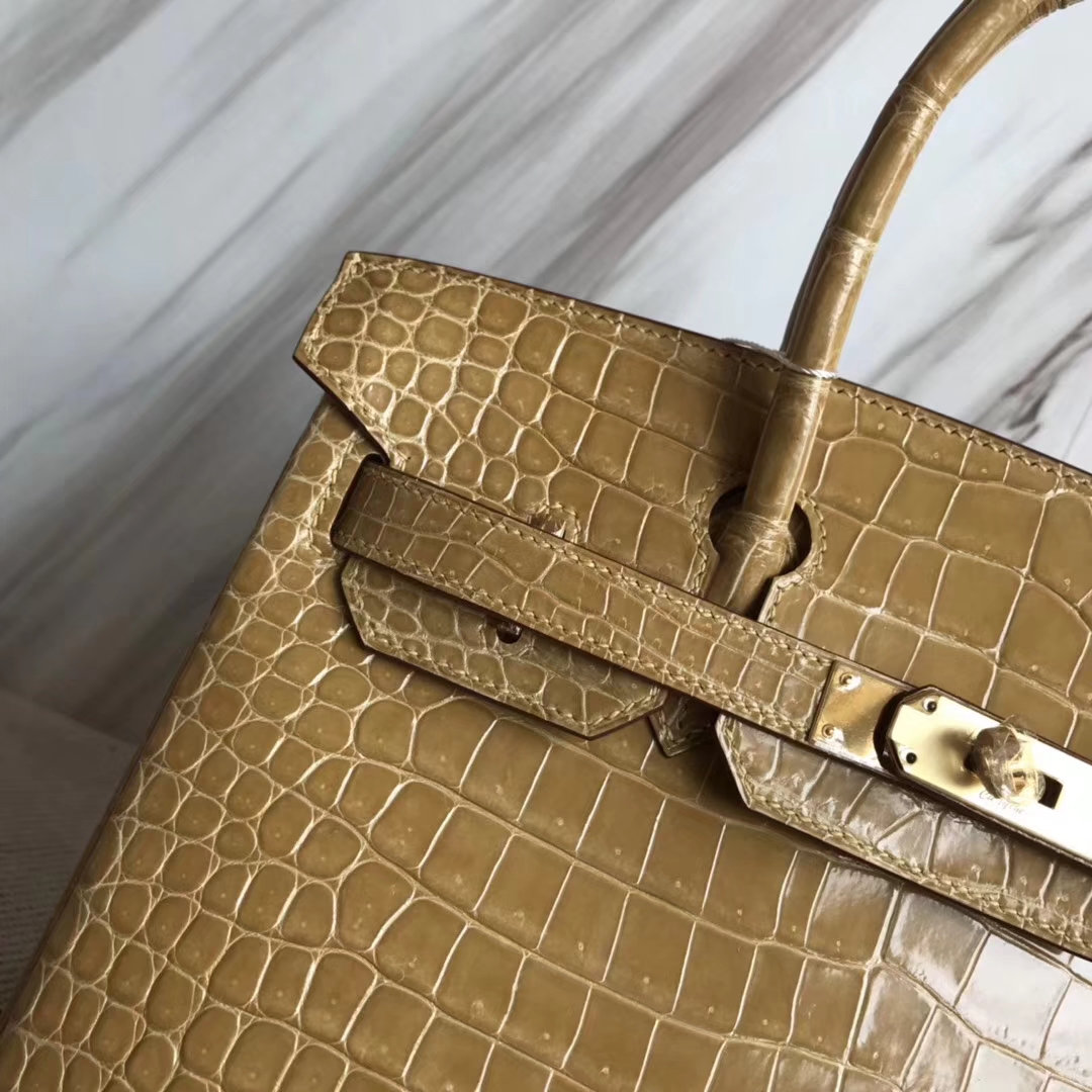 Noble Hermes 1C Poussiere Color Porosus Shiny Crocodile Birkin30CM Bag Gold Hardware