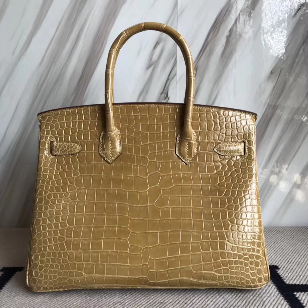 Noble Hermes 1C Poussiere Color Porosus Shiny Crocodile Birkin30CM Bag Gold Hardware