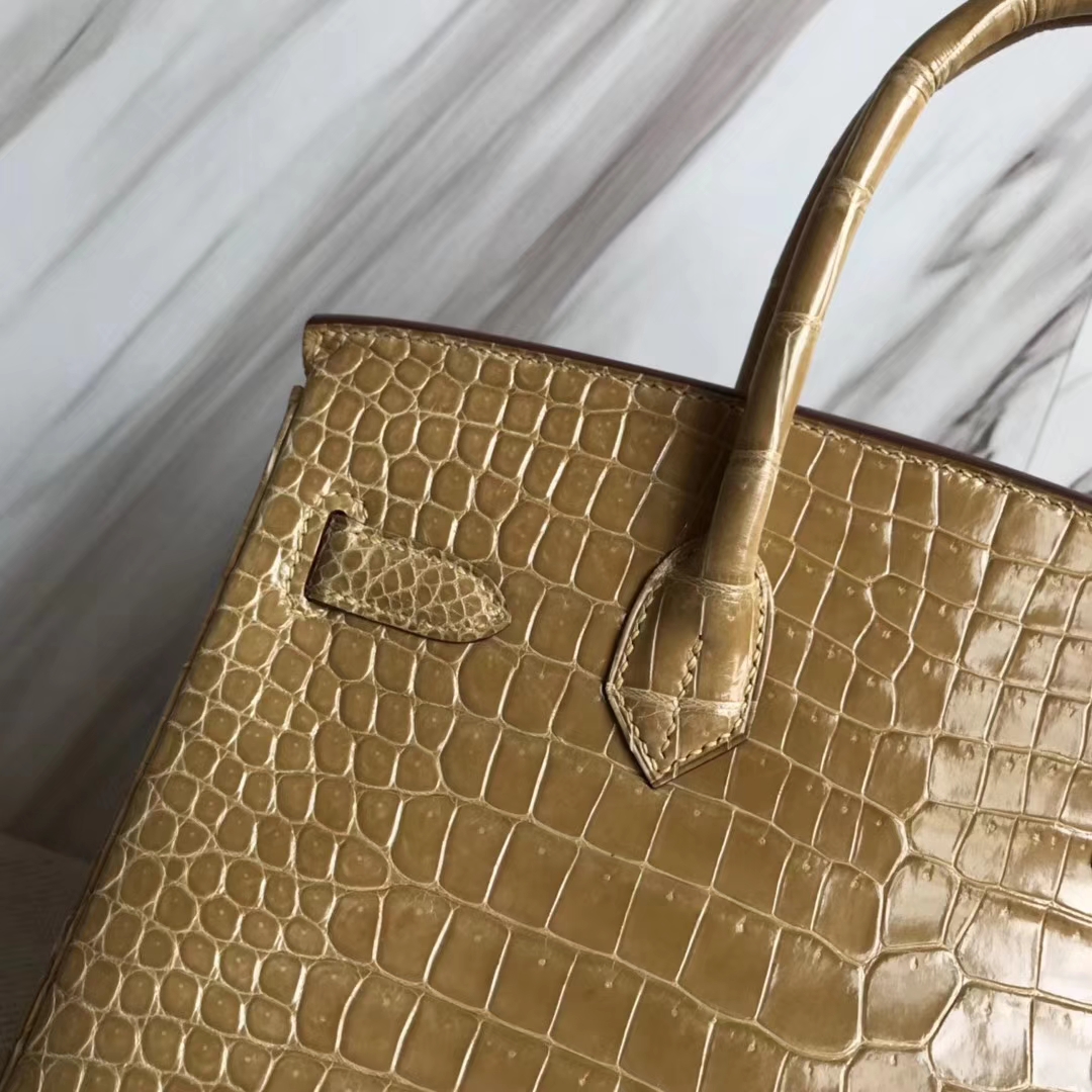 Noble Hermes 1C Poussiere Color Porosus Shiny Crocodile Birkin30CM Bag Gold Hardware