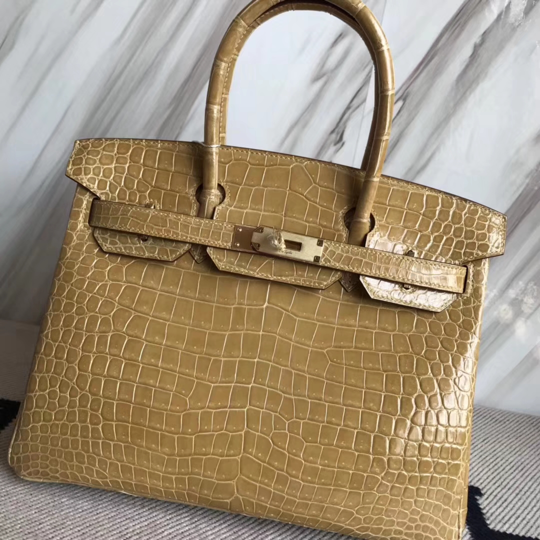 Noble Hermes 1C Poussiere Color Porosus Shiny Crocodile Birkin30CM Bag Gold Hardware