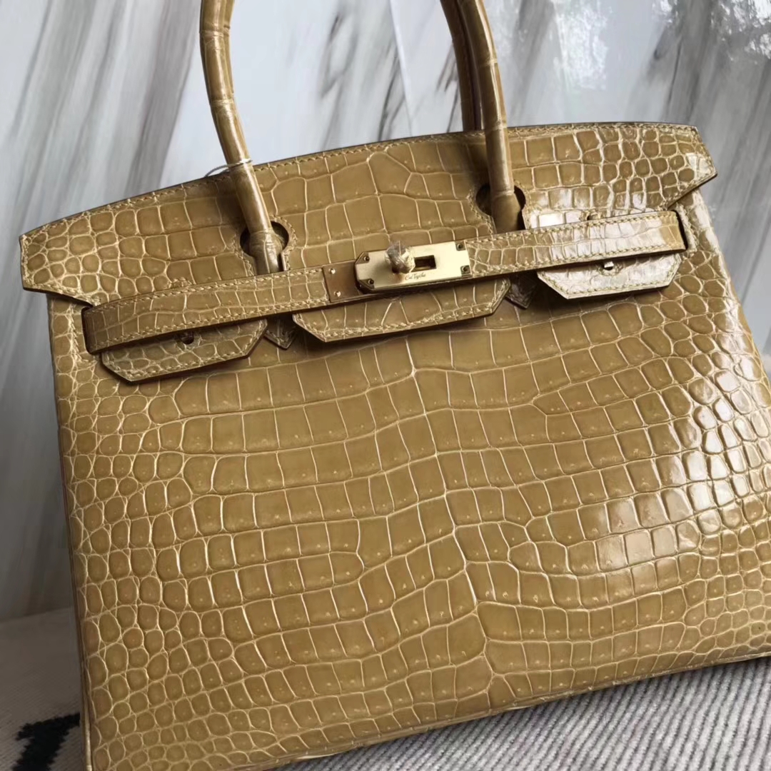 Noble Hermes 1C Poussiere Color Porosus Shiny Crocodile Birkin30CM Bag Gold Hardware