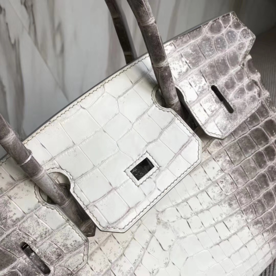 Elegant Hermes Himalaya Crocodile Leather Birkin Bag30CM Silver Hardware