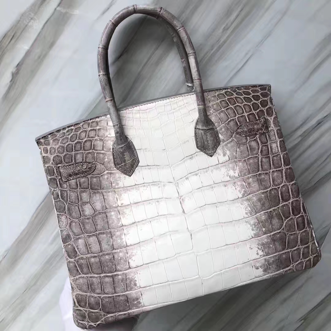 Stock Noble Hermes Himalaya Crocodile Birkin Bag30CM Silver Hardware
