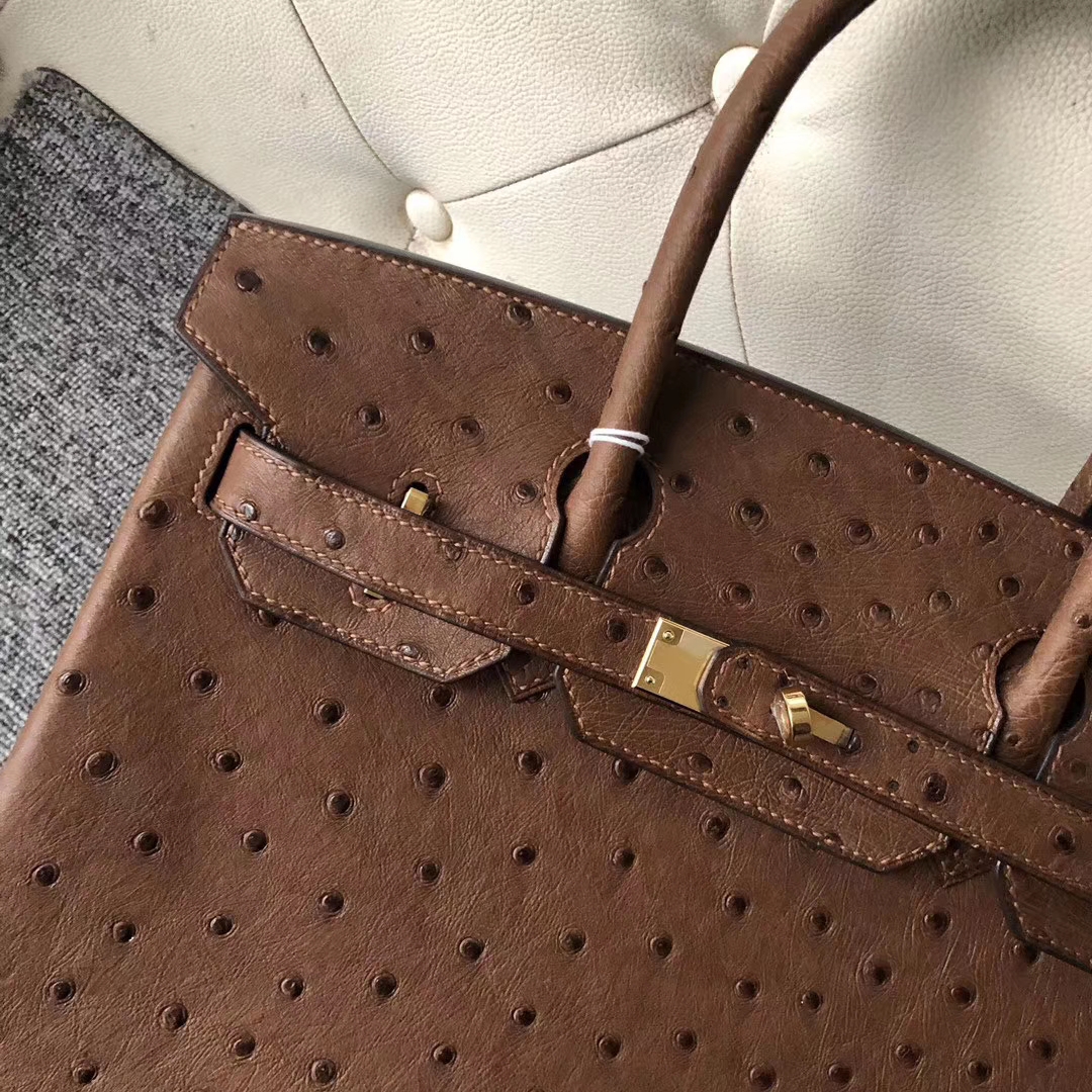 Customize Hermes Chocolate KK Ostrich Birkin30cm Bag Gold Hardware